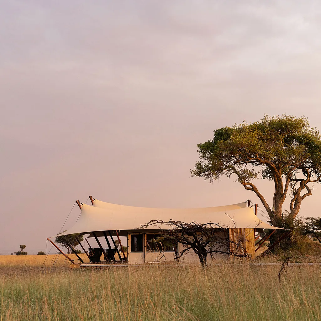 Savanna-Sanctuary-Sisini-Lamai