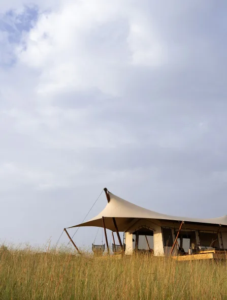 Sisini-Kopje-Serengeti-11